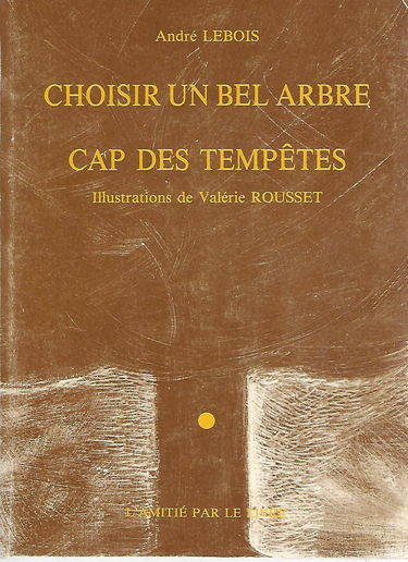 Choisir un bel arbre. Cap des tempêtes