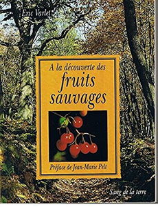 A la découverte des fruits sauvages