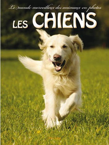 Les chiens