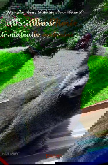 Moi mimie la malouine