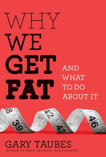 Couverture de Why We Get Fat: And What to Do About It