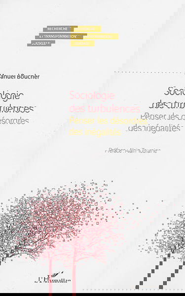 Sociologie des turbulences : penser les désordres des inégalités