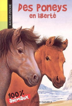 Des poneys en liberté