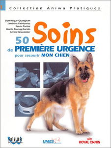 Soins de première urgence pour secourir mon chien