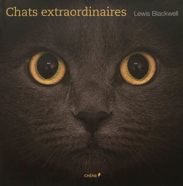 Chats extraordinaires