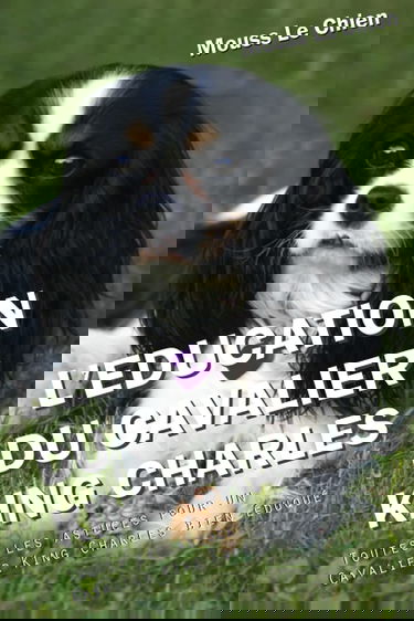 L'EDUCATION DU CAVALIER KING CHARLES: Toutes les astuces pour un Cavalier King Charles bien éduqué