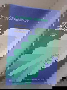 La Maladie ulcéreuse