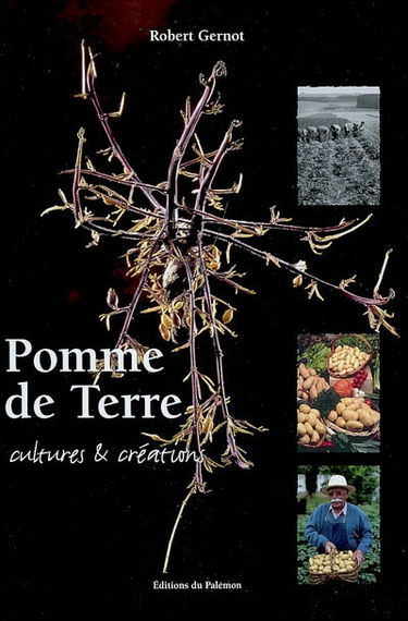 Pomme de terre : cultures et créations