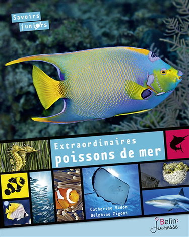Extraordinaires poissons de mer
