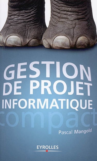 Gestion de projet informatique