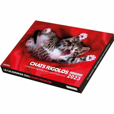 Chats rigolos : le calendrier magnétique pour vous embellir la vie ! : 2023