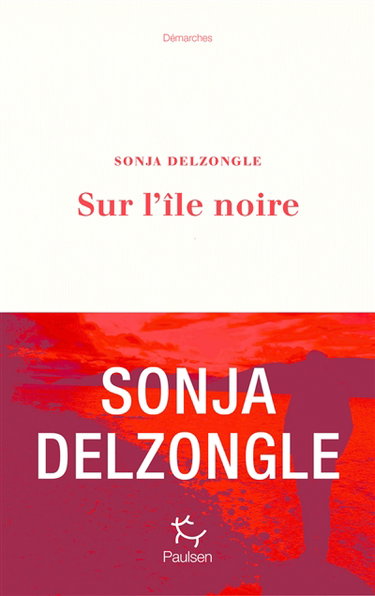 Couverture de Sur l'île noire