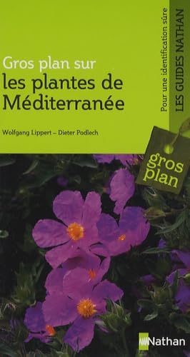 Plantes de Méditerranée