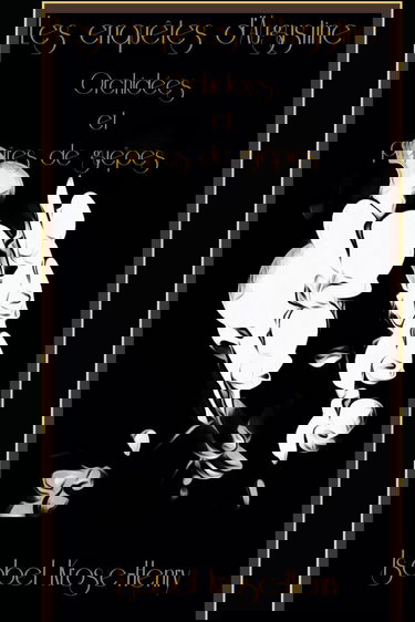 Orchidées et piqûres de guêpes: Les enquêtes d'Augustine