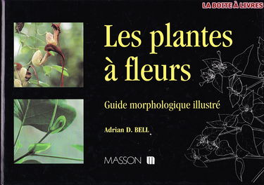 Guide morphologique des plantes à fleurs