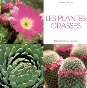 Les plantes grasses : les choisir et les soigner