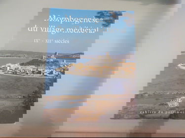 Morphogenèse du village médiéval (IXe-XIIe siècle) : actes de la table ronde tenue à Montpellier, 22-23 février 1993