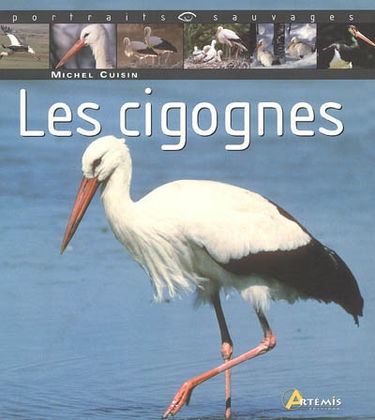 Les cigognes