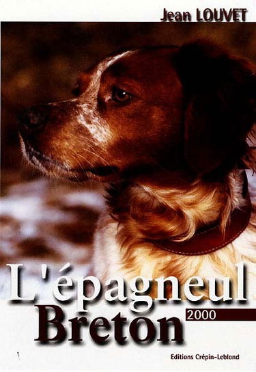 L'épagneul breton 2000