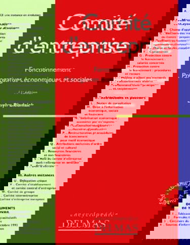 Comité d'entreprise : fonctionnement, prérogatives économiques et sociales