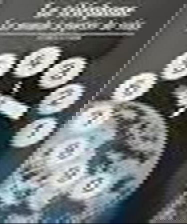 Le Téléphone : le monde à portée de voix