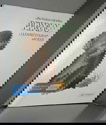 Perdu ! La Journée d'un jeune macaque