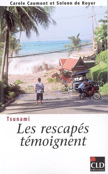 Tsunami : les rescapés témoignent