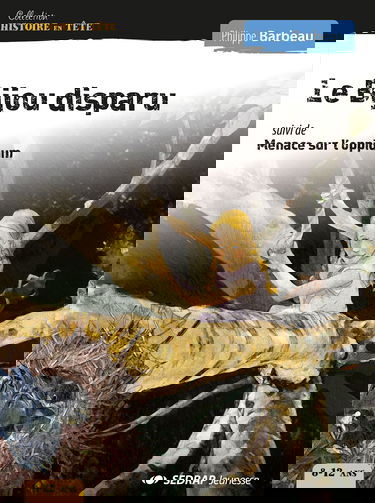 bijou disparu - roman