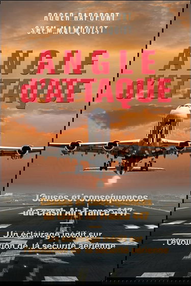 Angle d'attaque - Causes et conséquences du crash Air France 447