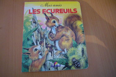 Les écureuils (04)