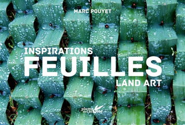 Feuilles : inspirations land art