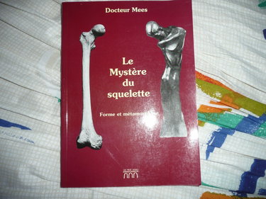 Couverture de Le mystère du squelette : une forme en métamorphose