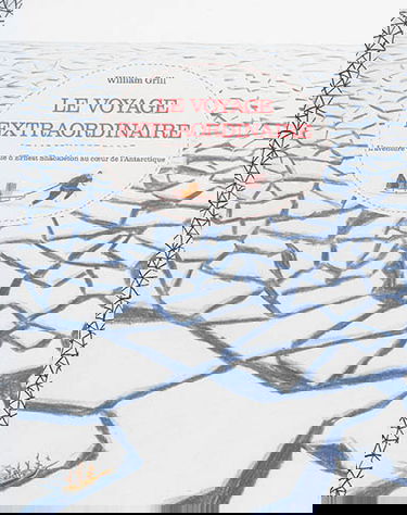 Le voyage extraordinaire : l'aventure vraie d'Ernest Shackleton au coeur de l'Antarctique