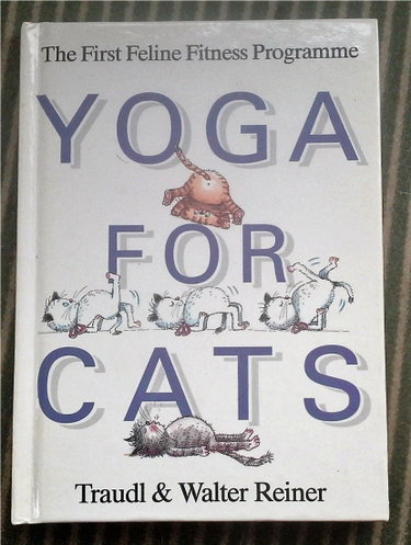Couverture de Yoga for Cats