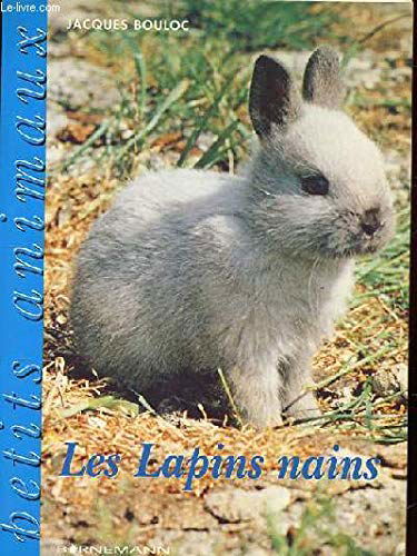 Les lapins nains