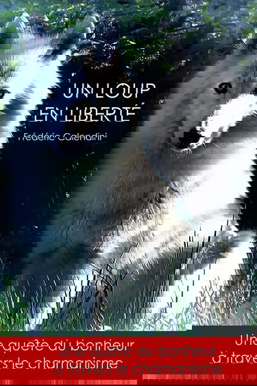 Un Loup En Liberté - Une quête du bonheur à travers le chamanisme