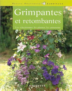 Plantes grimpantes et retombantes