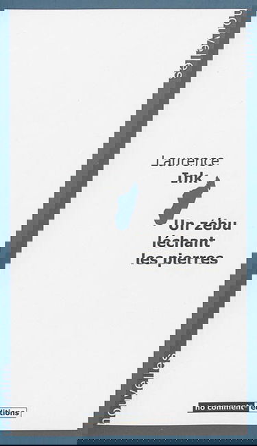 Un zébu léchant les pierres