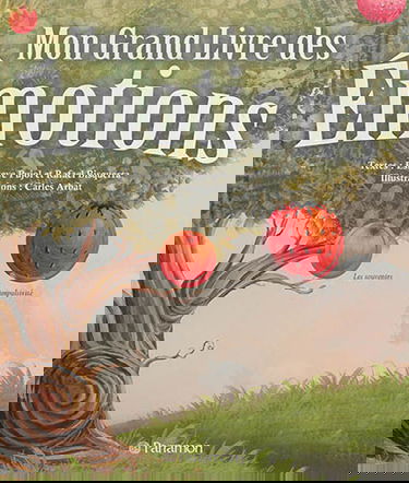 Mon grand livre des émotions