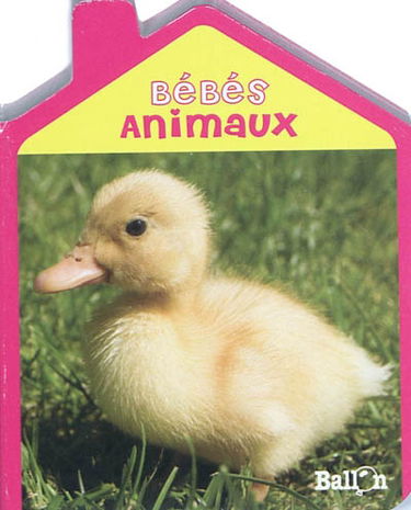 Bébés animaux