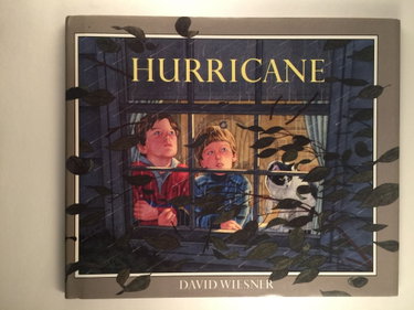 Couverture de Hurricane