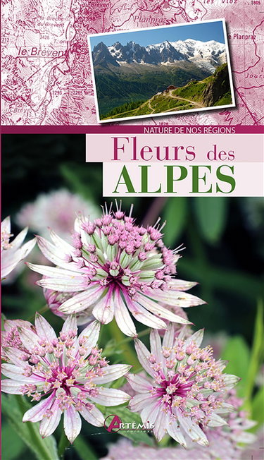 Couverture de Fleurs des Alpes par Collectif