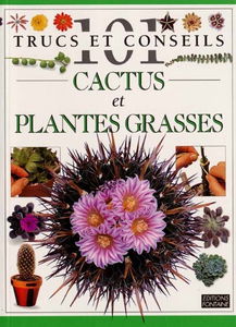 Cactus et plantes grasses