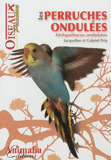 Les perruches ondulées : melopsittacus undulatus