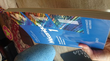 Mécanique, 1re et terminale STI. Vol. 1. Modélisation, cinématique, statique