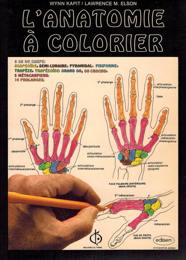 L'Anatomie à colorier