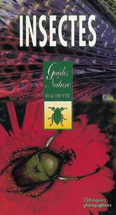 Insectes : identification et observation