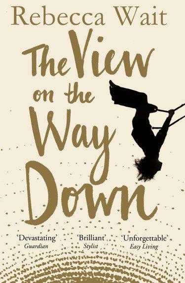 Couverture de The View on the Way Down