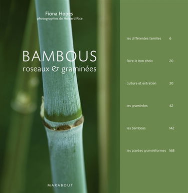 Bambous, roseaux & graminées