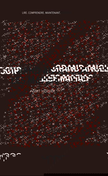 Grand angle sur les mafias